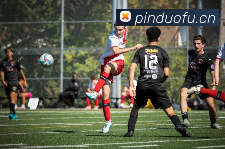 乐鱼官方在线平台入口APP 封面图